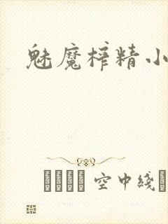 魅魔榨精小说封面