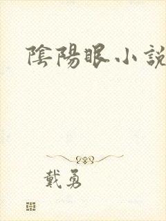 阴阳眼小说