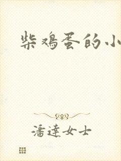 柴鸡蛋的小说封面