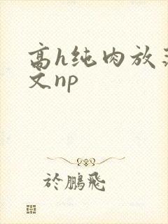 高h纯肉放荡h文np