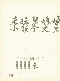 老旺儿媳妇秦雨小说全文免费阅读封面