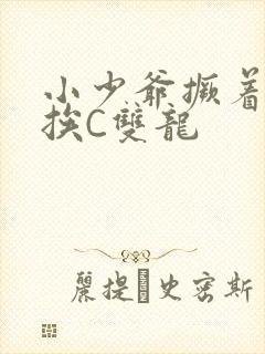 小少爷撅着屁股挨C双龙封面