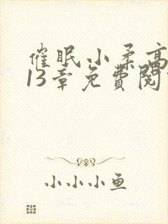 催眠小柔高达第13章免费阅读