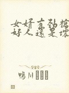 女婿有劲枪枪是好人还是坏人封面