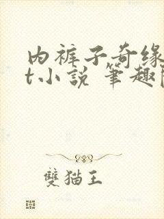 内裤子奇缘txt小说 笔趣阁