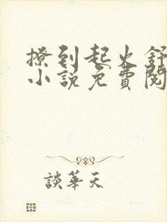 撩到起火舒漾的小说免费阅读全文