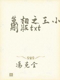 万相之王小说未删版txt