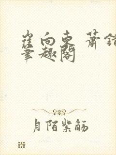 崔向东 萧错 笔趣阁