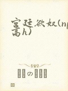 宫廷欲奴(np高h)