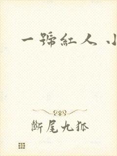 一号红人 小说