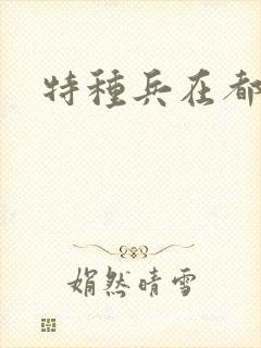 特种兵在都市