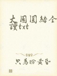 大团圆结全文阅读txt