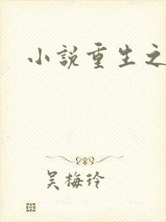 小说重生之官道