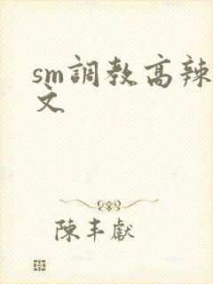 sm调教高辣h文