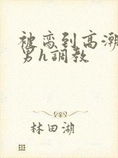 被脔到高潮的直男h调教