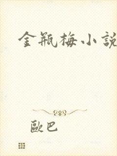 金瓶梅小说封面