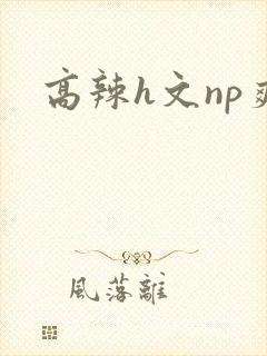 高辣h文np爽