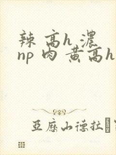 辣 高h 浓 np 肉 黄高h