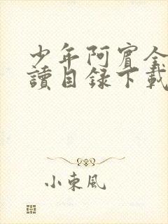 少年阿宾全文阅读目录下载