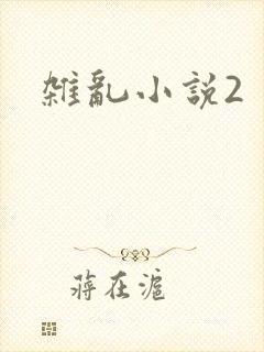 杂乱小说2