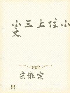 小三上位小说全文