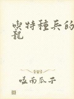 吃特种兵的大黑龙