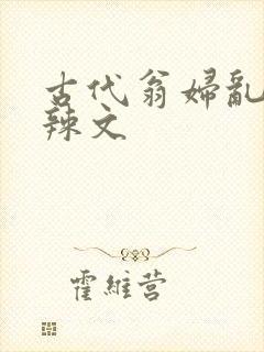 古代翁妇乱高h辣文