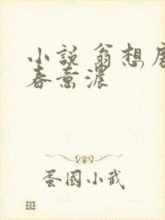 小说 翁想房中春意浓