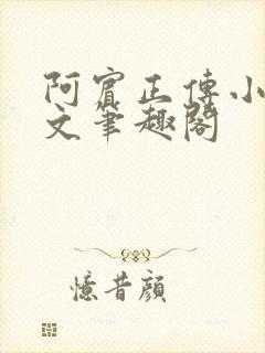 阿宾正传小说全文笔趣阁