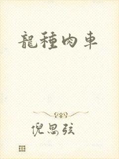 龙种肉车封面