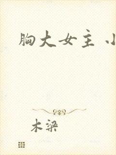 胸大女主 小说