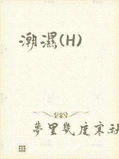 潮湿(H)封面