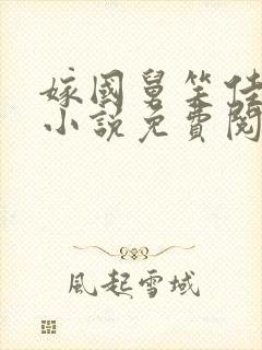 嫁国舅笑佳人的小说免费阅读封面