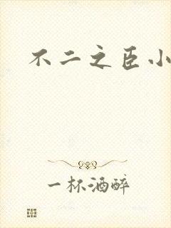 不二之臣小说