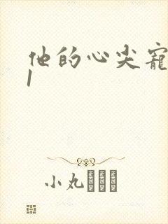 他的心尖宠1v1封面