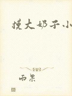 摸大奶子小说封面