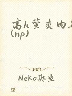 高h荤爽肉欲文(np)封面