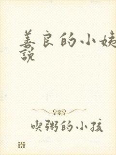 善良的小姨子小说