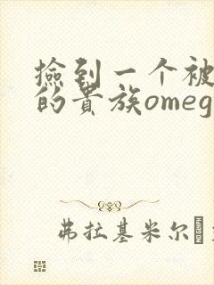 捡到一个被抹布的贵族omega
