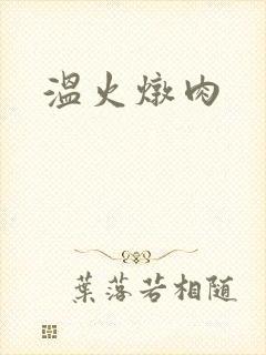 温火炖肉封面
