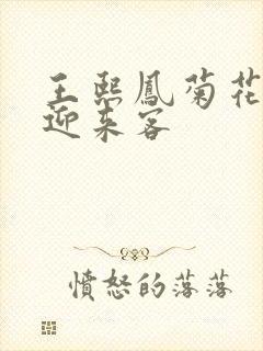 王熙凤菊花门初迎来客