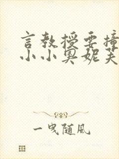 言教授要撞坏了小小奥妮芙原文封面