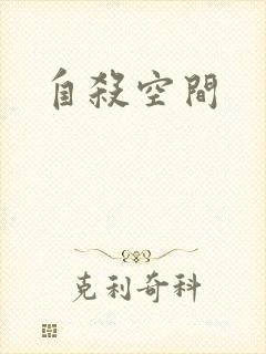 自杀空间封面