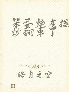 笨蛋炮灰总被爆炒翻车了