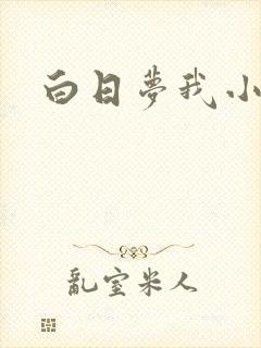 白日梦我小说