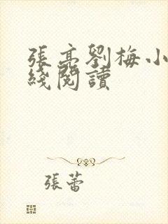 张亮刘梅小说在线阅读