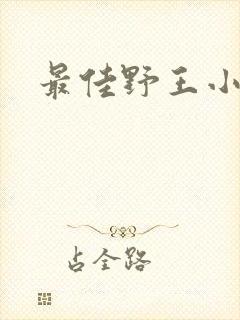 最佳野王小说封面