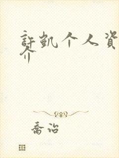 许凯个人资料简介封面