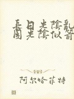 长日光阴乱作一团光阴似箭时渺封面