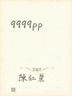 9999pp封面